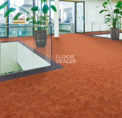 Forbo Flotex Colour Calgary 50*50 t 590005 Calgary Melon фото 2 | FLOORDEALER